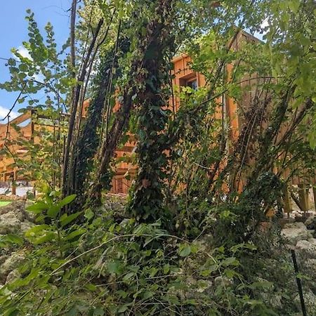 Gite Le Noisetier 3-6 Personnes Blesignac Exterior photo